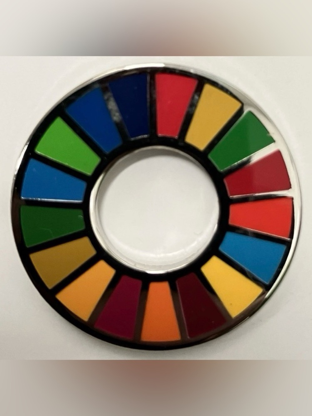 Vtg UN United Nations Sustainable Development Goals SDG Silver Tone Lapel Pin